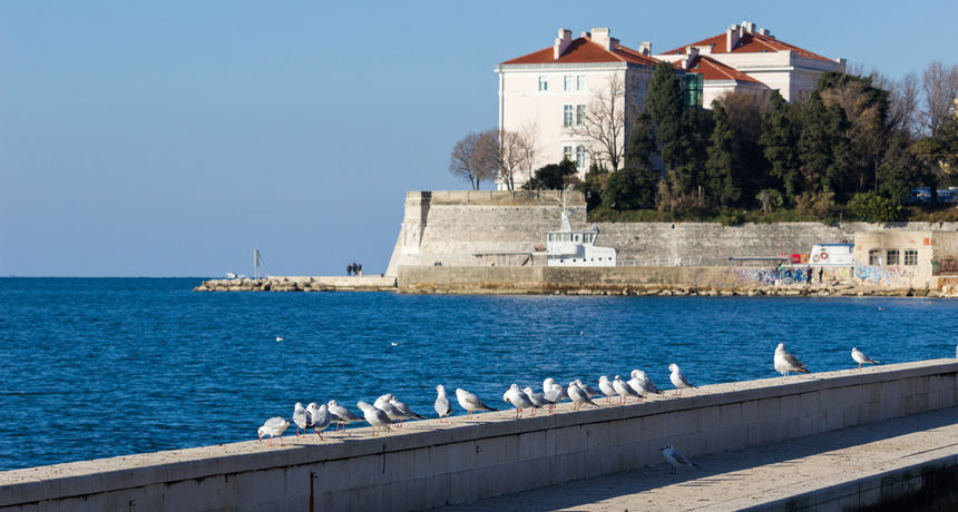 Đir po gradu 16. prosinca 2016.