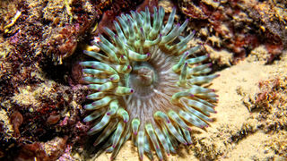 Foto: Ante Uglešić Foto: Ante Uglešić