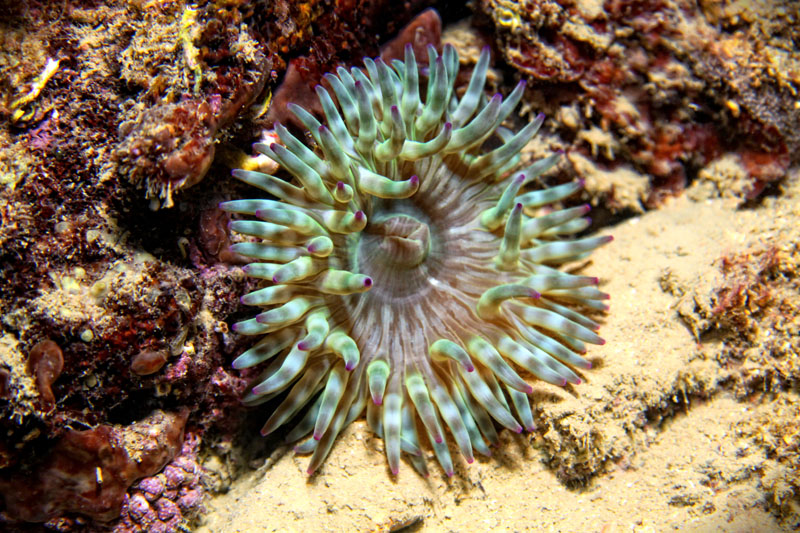 Foto: Ante Uglešić Foto: Ante Uglešić