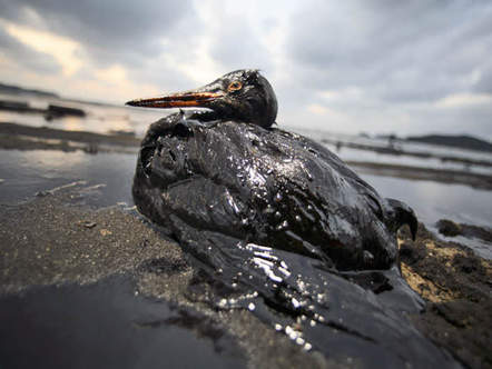 Image 1196791 (auto) Image 1196791 (auto)