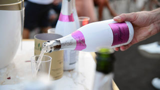 ELFS Cruise collection 2022