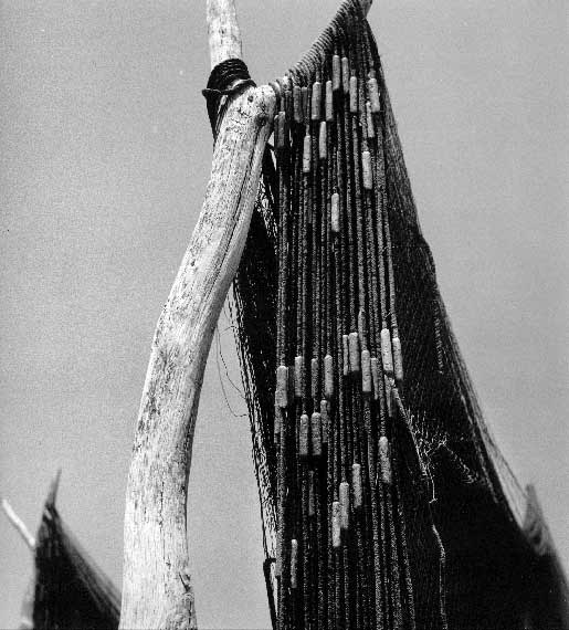 Braća Brkan: Slike sna i svjetlosti Braća Brkan: Slike sna i svjetlosti