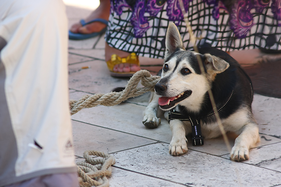 Performance Enia Meštrovića (foto:Saša Čuka)