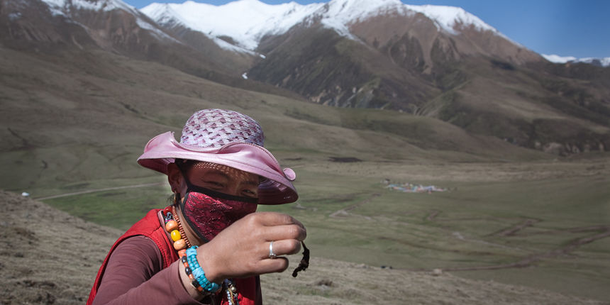 Catapillar Fungus Hunters near Amye Machen Catapillar Fungus Hunters near Amye Machen
