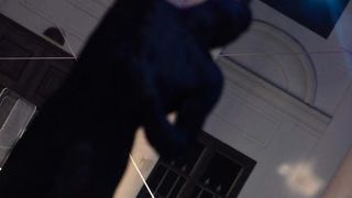 18. Spancirfest – Festival grada i gradskih setaca. 3D mapping na procelju Gradske vijecnice. TBF,  Photo: Vjeran Zganec Rogulja/PIXSELL