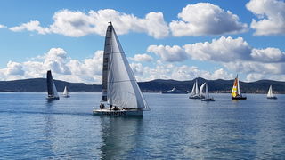 Zadarska Koka 2016. 22. listopada 2016. Foto: Mladen Malik Zadarska Koka 2016. 22. listopada 2016. Foto: Mladen Malik