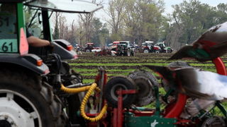 Jankolovica, Biograd, 150912. 
U Jankolovici kraj Biograda odrzan je drugi dan 59. Svjetskog prvenstva u oranju. Ovo natjecanje u oranju odrzava se od 1953. godine, a Hrvatska se ukljucila 2005. godine.
Na fotografiji: detalj s manifestacije. 
Foto: Jure