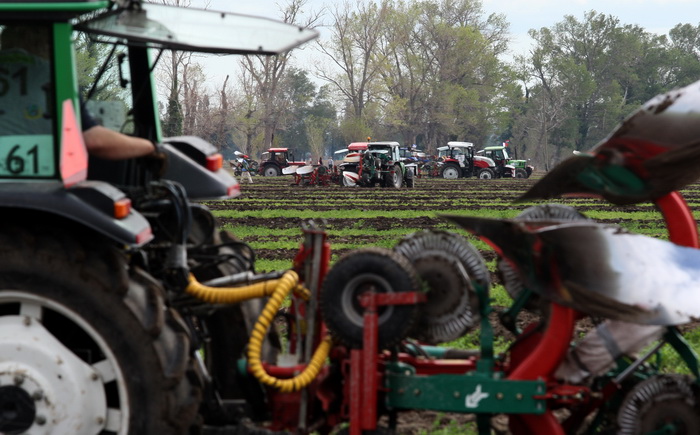 Jankolovica, Biograd, 150912. 
U Jankolovici kraj Biograda odrzan je drugi dan 59. Svjetskog prvenstva u oranju. Ovo natjecanje u oranju odrzava se od 1953. godine, a Hrvatska se ukljucila 2005. godine.
Na fotografiji: detalj s manifestacije. 
Foto: Jure