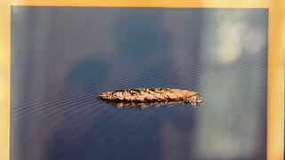 Stanarska fešta: Izložba fotografija Borisa Kačana i finale turnira u boćanju