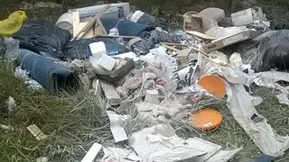 Park šuma Musapstan zagađena raznim otpadom Park šuma Musapstan zagađena raznim otpadom