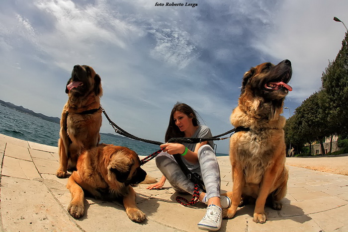 Skitnja gradom 30. travnja 2013. Foto: Roberto Lerga Skitnja gradom 30. travnja 2013. Foto: Roberto Lerga