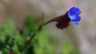 Izlet u Libinje 6. travnja 2011, Foto: Leo Banic