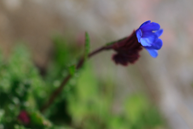 Izlet u Libinje 6. travnja 2011, Foto: Leo Banic