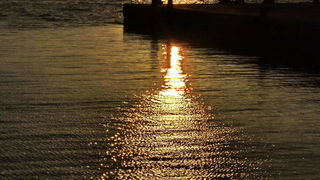 Blagdanski đir po Pagu 1. studenog 2013.  foto: Leonard Kvarantan