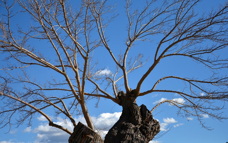 Đir po Skradinu, Foto Kristina Kajic