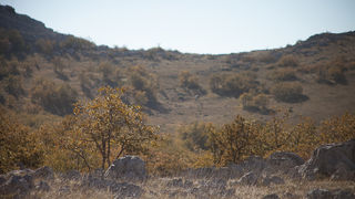 Izlet u Libinje, foto: Darko Belančić