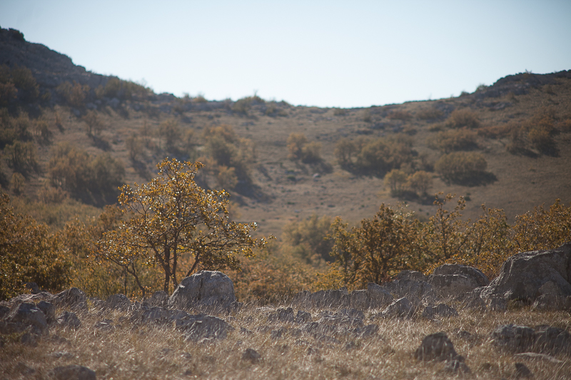 Izlet u Libinje, foto: Darko Belančić