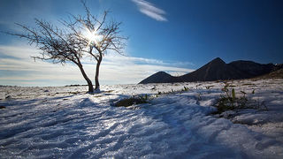 Đir do Libinja 9. travnja 2012. (foto:Saša Čuka) Đir do Libinja 9. travnja 2012. (foto:Saša Čuka)
