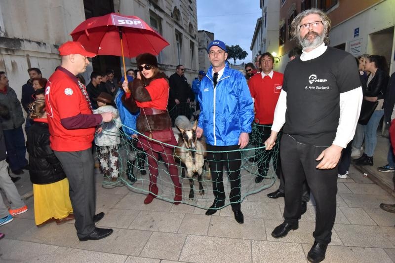 Poznata zadarska skupina Bleke i Konji na karnevalskoj povorci pojavila se sa stadom ovaca koje su doveli na sredisnji gradski trg. Clanovi skupine bili su obuceni u majice hrvatskih politickih stranaka koje su medjusobno izmjenjivali uz domoljubne pjesme