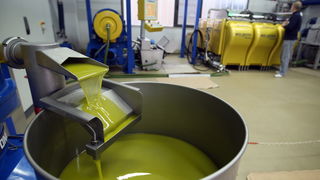 Zadar, 051112.
Uljare na zadarskom podrucju ubrzano preradjuju masline u ulje, ali prvi podaci govore da je ove godine randman izuzetno slab zbog velike suse u Dalmaciji. Detalj iz Uljare Zadar na Novom Bokanjcu u Zadru.
Foto: Jure Miskovic / CROPIX Zadar, 051112.
Uljare na zadarskom podrucju ubrzano preradjuju masline u ulje, ali prvi podaci govore da je ove godine randman izuzetno slab zbog velike suse u Dalmaciji. Detalj iz Uljare Zadar na Novom Bokanjcu u Zadru.
Foto: Jure Miskovic / CROPIX