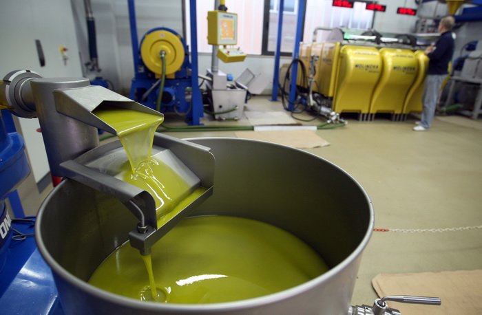 Zadar, 051112.
Uljare na zadarskom podrucju ubrzano preradjuju masline u ulje, ali prvi podaci govore da je ove godine randman izuzetno slab zbog velike suse u Dalmaciji. Detalj iz Uljare Zadar na Novom Bokanjcu u Zadru.
Foto: Jure Miskovic / CROPIX Zadar, 051112.
Uljare na zadarskom podrucju ubrzano preradjuju masline u ulje, ali prvi podaci govore da je ove godine randman izuzetno slab zbog velike suse u Dalmaciji. Detalj iz Uljare Zadar na Novom Bokanjcu u Zadru.
Foto: Jure Miskovic / CROPIX