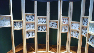 11. Noć muzeja u Zadru, foto-Iva Perinčić 11. Noć muzeja u Zadru, foto-Iva Perinčić