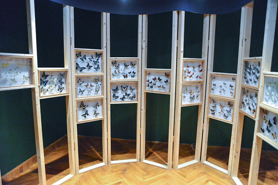 11. Noć muzeja u Zadru, foto-Iva Perinčić 11. Noć muzeja u Zadru, foto-Iva Perinčić