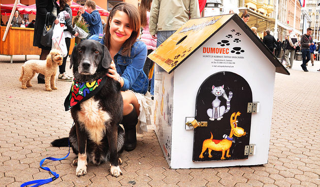 Uspješna akcija ”Udomljavanje je fora”