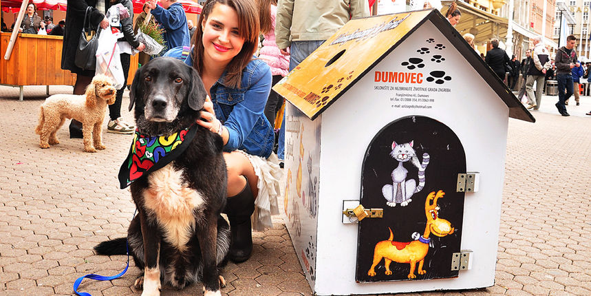 Uspješna akcija ”Udomljavanje je fora”