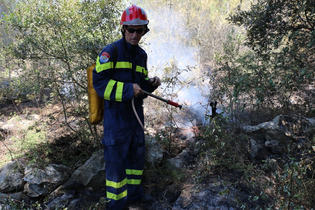 Vir: Požar u Lozicama u potpunosti ugašen Vir: Požar u Lozicama u potpunosti ugašen
