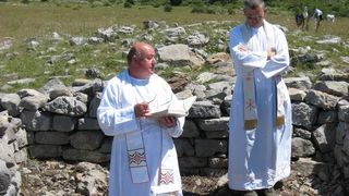 Image 1177333 (auto)