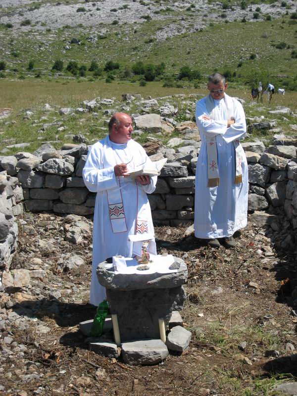 Image 1177333 (auto)