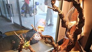 Image 871977 (auto) Image 871977 (auto)