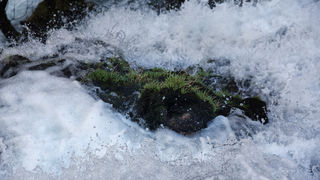 Rijeka Krupa i Kudin most