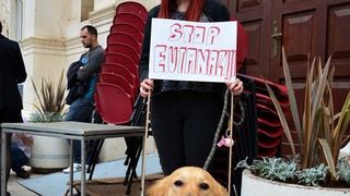 Skup podrške za NO KILL skloništa za životinje,  foto Iva Perinčić