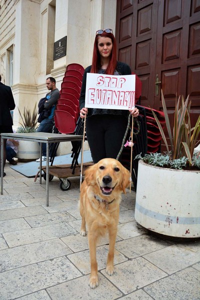 Skup podrške za NO KILL skloništa za životinje,  foto Iva Perinčić