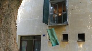 Podstanari uočili zmiju u stanu, nisu je pronašli pa su sav namještaj izbacili, foto: Filip Brala/PIXSELL Podstanari uočili zmiju u stanu, nisu je pronašli pa su sav namještaj izbacili, foto: Filip Brala/PIXSELL