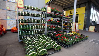 bauMax Zadar: -15% dan 19. ožujka 2014, Foto: Roberto Lerga bauMax Zadar: -15% dan 19. ožujka 2014, Foto: Roberto Lerga