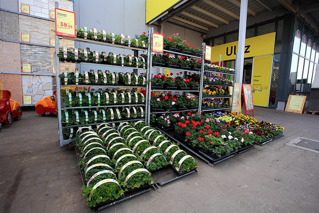 bauMax Zadar: -15% dan 19. ožujka 2014, Foto: Roberto Lerga bauMax Zadar: -15% dan 19. ožujka 2014, Foto: Roberto Lerga