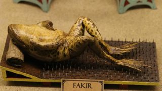 Zbirka od 500-tinjak prepariranih zaba u ljudskim situacijama, smjestena u bivsem kinu Tesla, prema rijecima vlasnika Ivana Medveseka, ne naliazi na dovoljno zanimanje institucija RH pa bi uskoro trebala preseliti u London. Photo: Ivo Cagalj/PIXSELL Zbirka od 500-tinjak prepariranih zaba u ljudskim situacijama, smjestena u bivsem kinu Tesla, prema rijecima vlasnika Ivana Medveseka, ne naliazi na dovoljno zanimanje institucija RH pa bi uskoro trebala preseliti u London. Photo: Ivo Cagalj/PIXSELL