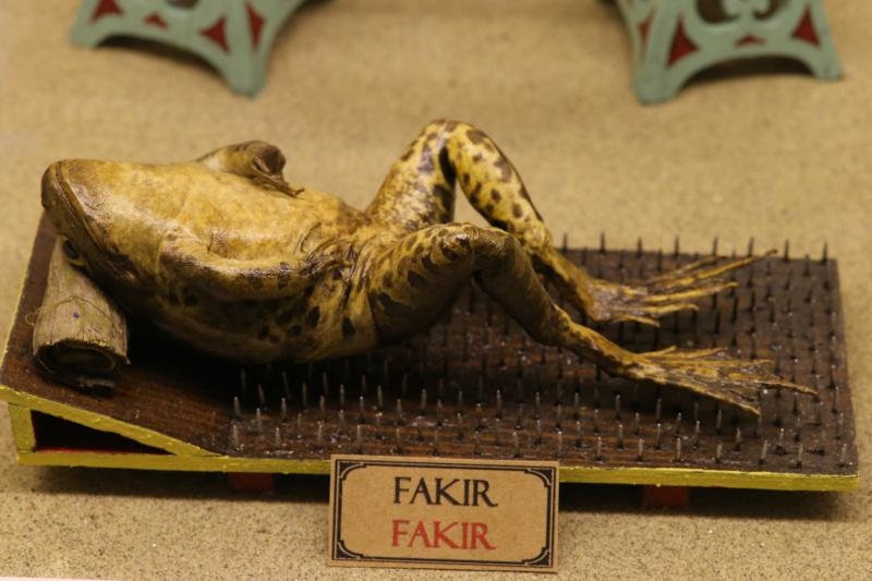 Zbirka od 500-tinjak prepariranih zaba u ljudskim situacijama, smjestena u bivsem kinu Tesla, prema rijecima vlasnika Ivana Medveseka, ne naliazi na dovoljno zanimanje institucija RH pa bi uskoro trebala preseliti u London. Photo: Ivo Cagalj/PIXSELL Zbirka od 500-tinjak prepariranih zaba u ljudskim situacijama, smjestena u bivsem kinu Tesla, prema rijecima vlasnika Ivana Medveseka, ne naliazi na dovoljno zanimanje institucija RH pa bi uskoro trebala preseliti u London. Photo: Ivo Cagalj/PIXSELL