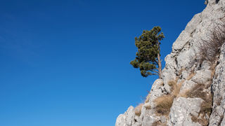 Od Velikog Rujna, preko Rujanske kose do Višerujna…