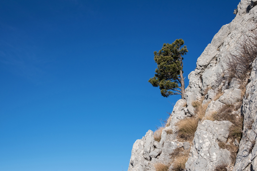 Od Velikog Rujna, preko Rujanske kose do Višerujna…