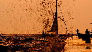 Boris Kacan: Zadarska riva Boris Kacan: Zadarska riva