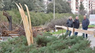 Na Bulevaru posječena stabla lipe stara 40 godina