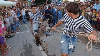 Zadar, 050809.
Danas je na otoku Ugljanu u mjesto Kukljica slavljena Gospa od Sniga. Festa u Kukljici vec tradicionalno prvlaci veliki broj ljudi, a uz ples tamosnje folklorne skupine odrzana je i utrka tovara.
Foto: Andrija lucic / CROPIX Zadar, 050809.
Danas je na otoku Ugljanu u mjesto Kukljica slavljena Gospa od Sniga. Festa u Kukljici vec tradicionalno prvlaci veliki broj ljudi, a uz ples tamosnje folklorne skupine odrzana je i utrka tovara.
Foto: Andrija lucic / CROPIX