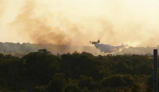 Pozar izmedju Paljuva i Kasica