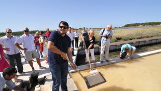 Danas je u Ninu održana berba Cvijeta soli u kojoj su sudjelovali Mate Janković, poznati hrvatski chef, Damir Oštrić, direktor Solane Nin i Marija Dejanović, direktorica Turističke zajednice grada Nina