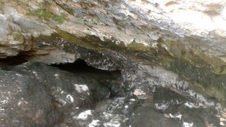 Krška rijela Karišnica. Foto: Edvard Šprljan Krška rijela Karišnica. Foto: Edvard Šprljan