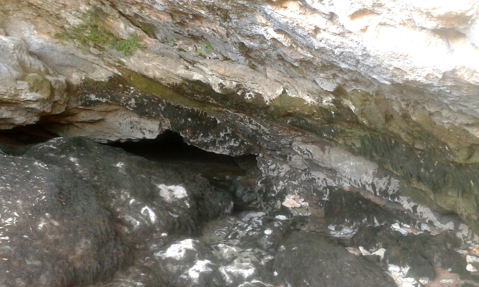 Krška rijela Karišnica. Foto: Edvard Šprljan Krška rijela Karišnica. Foto: Edvard Šprljan